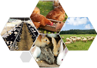 精益求精的品質 產品更優良、更安全衛生、更環保